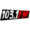 POLSKIE RADIO WPNA 103.1 FM - CHICAGO