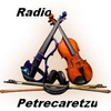 Radio Petrecaretzu wWwRadioPetrecaretzuRo Petrecere Populara Etno Manele Top 40