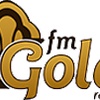 FM Gold Izegem