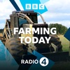 03/03/2023 - Belgian tomato growers visit the UK, and can tech solve tail biting?
