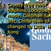 Cruelty free robot dolphins, Lockdown: Hard mode, Goldman Sachs of shit, China town to be changed to little Hong Kong - 13 - Bearer of weird news