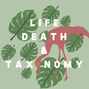 Episode 290 β Tadpole Shrimp: Rice Lice