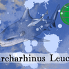 Episode 269 β Bull Shark: Huck Fin