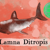 Episode 272 – Salmon Shark: Omelets for Babies