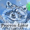 Episode 282 β Raccoons: Wiley Bandits