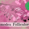 Episode 306 β Demodex Mite: Face to Face with Friends
