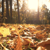 Skincare Tips for Self-Improvement Month