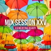 Mix Session XXV