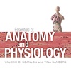 Chapter 8: The Nervous System