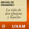 Vida de don Quijote y Sancho. 6a parte