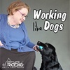 Working Like Dogs - Episode 160 Dogs, the Netflix Documentary