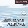 OM088 – Exploring the Practice of Radical Acceptance with Morgan Dix