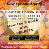 Slow the F Down with REGRETS