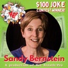 $100 Contest Winner Sandy Bernstein - Writing Clean Jokes and Collaborating with Other Comics - Comedy Podcast