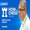 GM Ivan Sokolov on Coaching and Mentoring and What he Learned from Other Chess Legends