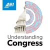 Why Is Congressional Oversight Important, and How Can It Be Done Well? (with Elise Bean)