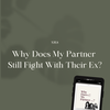Why Does My Partner Still Fight With Their Ex?