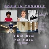Too Big to Fail/By Design