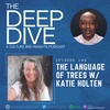 Episode 144: The Language of Trees w/ Katie Holten