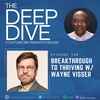 Episode 148: Breakthrough to Thriving w/ Wayne Visser