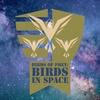 Birds of Prey 4: Birds In Space
