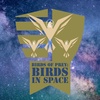 Birds in Space: Ivy