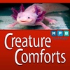 Creature Comforts | Cold-Blooded Animals