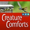 Creature Comforts | Bird Box with Joe Magee
