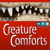 Creature Comforts | American Alligator