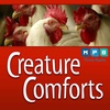 Creature Comforts | Bird Flu