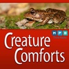 Creature Comforts | Gopher Frogs