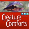 Creature Comforts | Mississippi's Bats