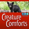 Creature Comforts | Mississippi Black Bears