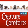 Creature Comforts | Let's Talk About Pets