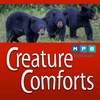 Creature Comforts | Black Bear Updates