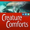 Creature Comforts | Manatees