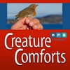 Creature Comforts | Bird Banding with Emma Rhodes