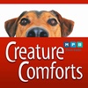 Creature Comforts | All Pets All the Time
