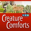 Creature Comforts | Observing Urban Wildlife from a Distance