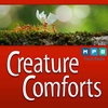Creature Comforts | Ants