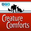 Creature Comforts | All Pet Day - February 2023