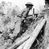 The Borneo Campaign Part 2