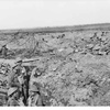 Polygon Wood