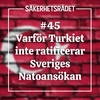 Varför Turkiet inte ratificerar Sveriges Natoansökan