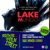 Viral Found Footage Part II: Lake Mungo (2008)