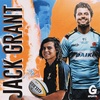 Jack Grant- Clip