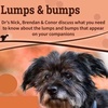 Lumps & Bumps