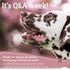 Q&A Week