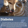 Diabetes