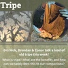 Tripe